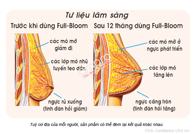 vien-uong-full-bloom-giup-bo-nguc-cang-no-nang-day-dan-5