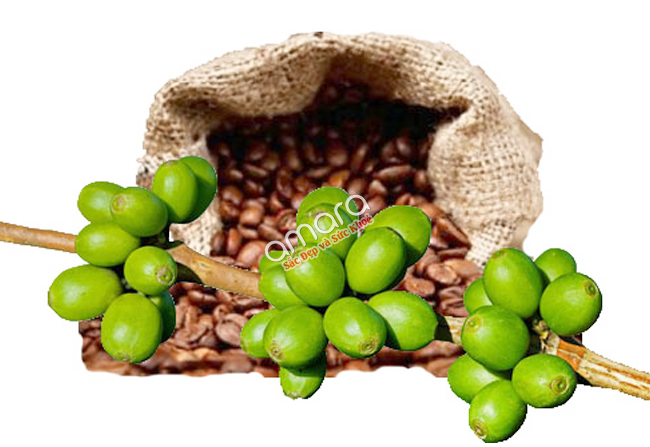 vien-thuoc-giam-can-green-coffee-bean-extract-2